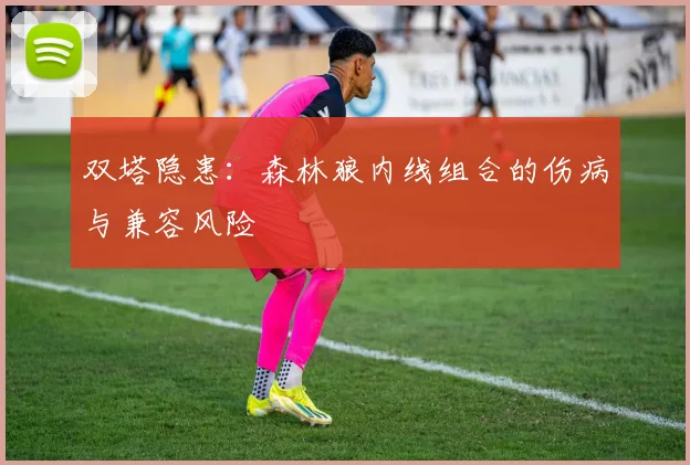 双塔隐患：森林狼内线组合的伤病与兼容风险