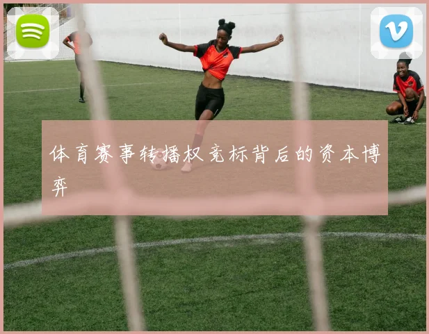 体育赛事转播权竞标背后的资本博弈