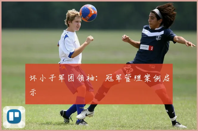 坏小子军团领袖：冠军管理案例启示