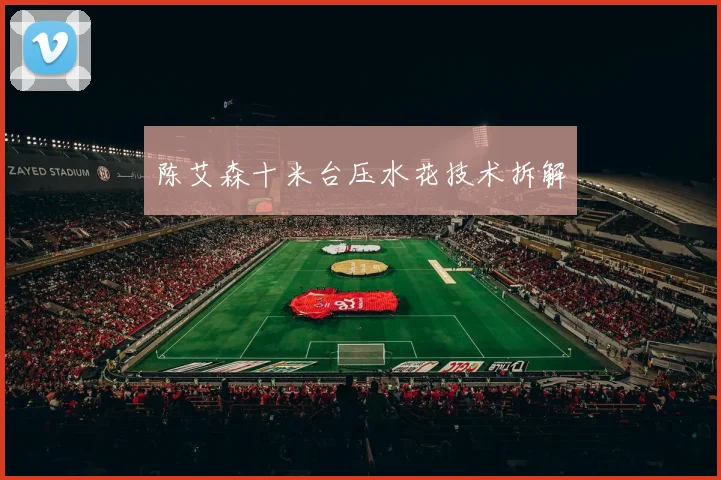 陈艾森十米台压水花技术拆解