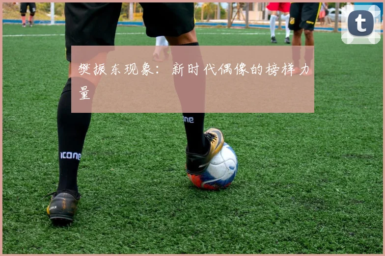 樊振东现象：新时代偶像的榜样力量